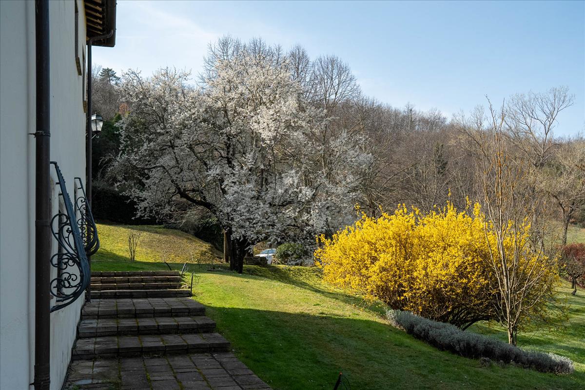 Property Image 2c0ffb7d-3714-4cf6-ae7e-ed7a1fa069f1