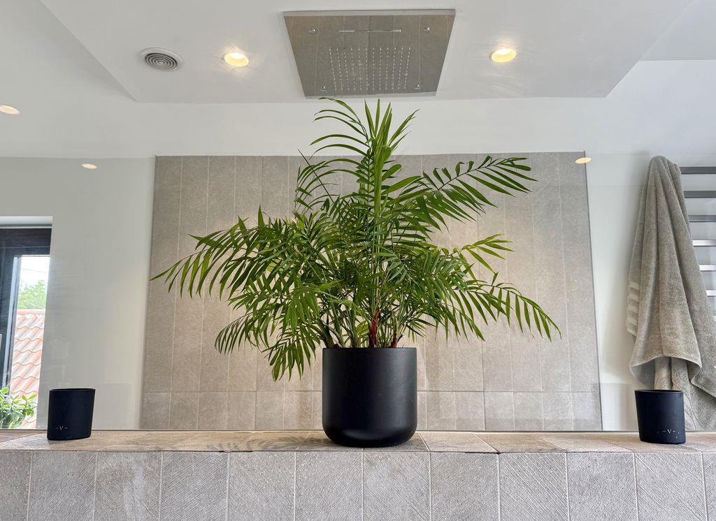 Property Image 2c11e3a3-f49d-40a2-b9e1-f4840b9831a7