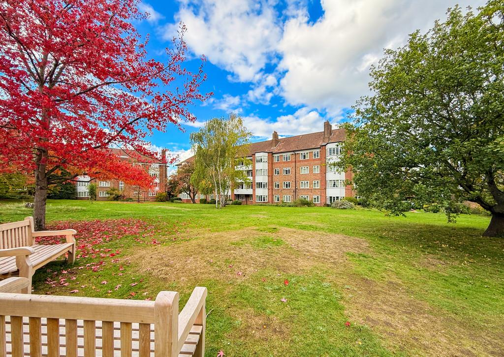 Property Image 2c225053-fb2e-42d0-bc45-e1c4e62273e3