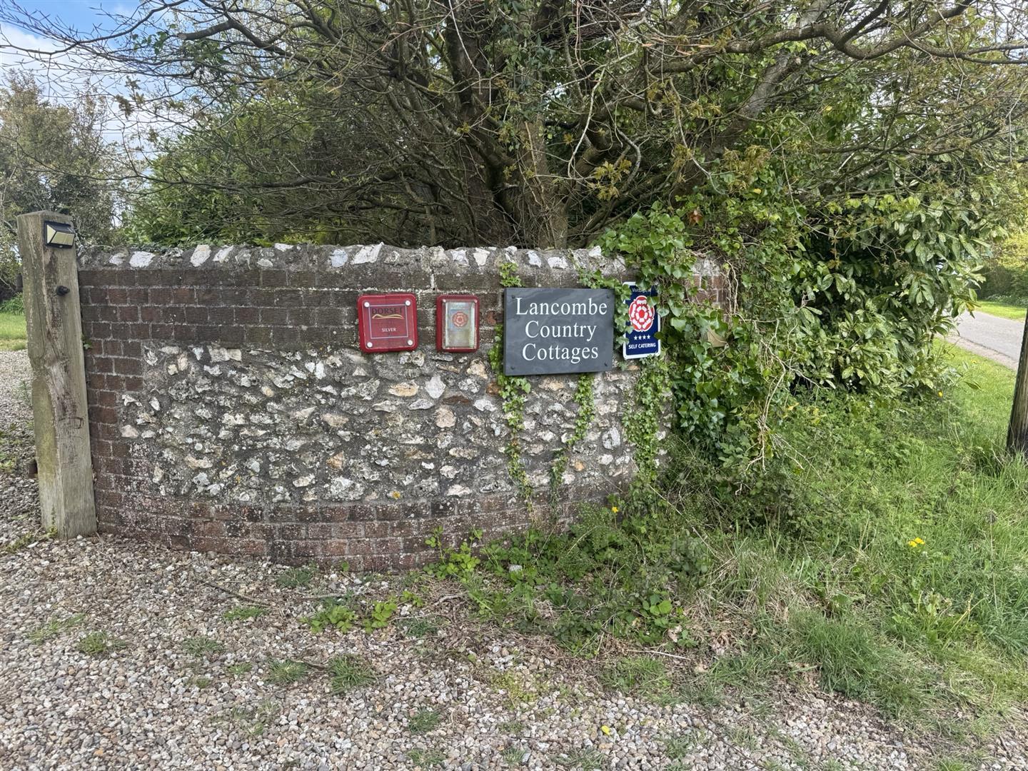 Image 17