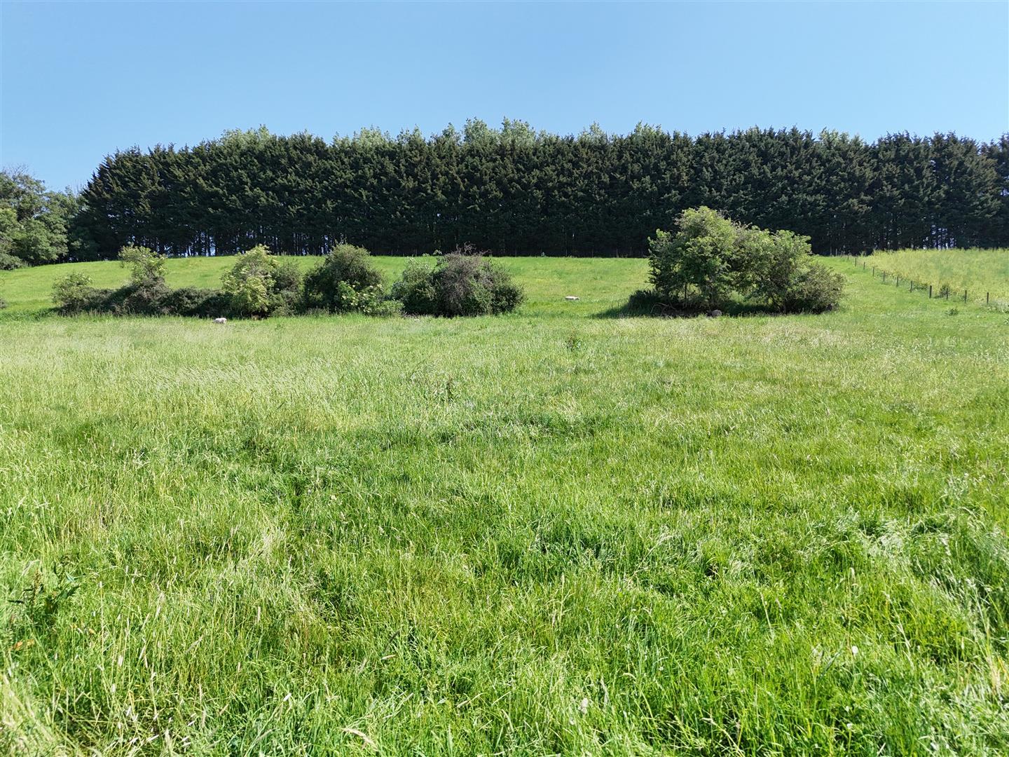 Property Image 2c58192f-47f2-406b-842c-24eef17731eb