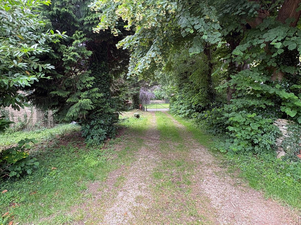 Property Image 2c61921f-a62d-491c-aafe-105335f41239