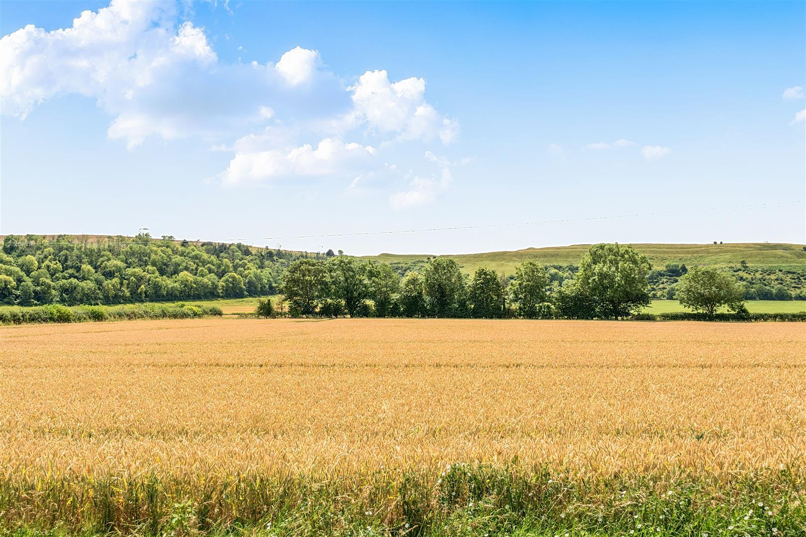 Property Image 2c6d73e5-5d53-4c93-8d6d-2d9bd470be6f