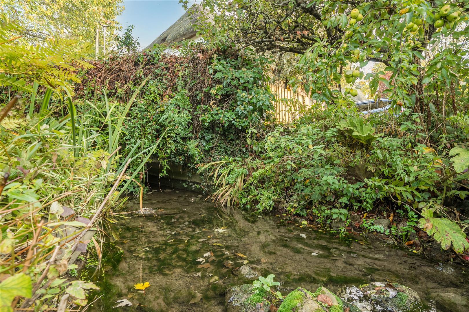 Property Image 2c7495e0-bcdb-43b9-a82e-1eb20ca629ee