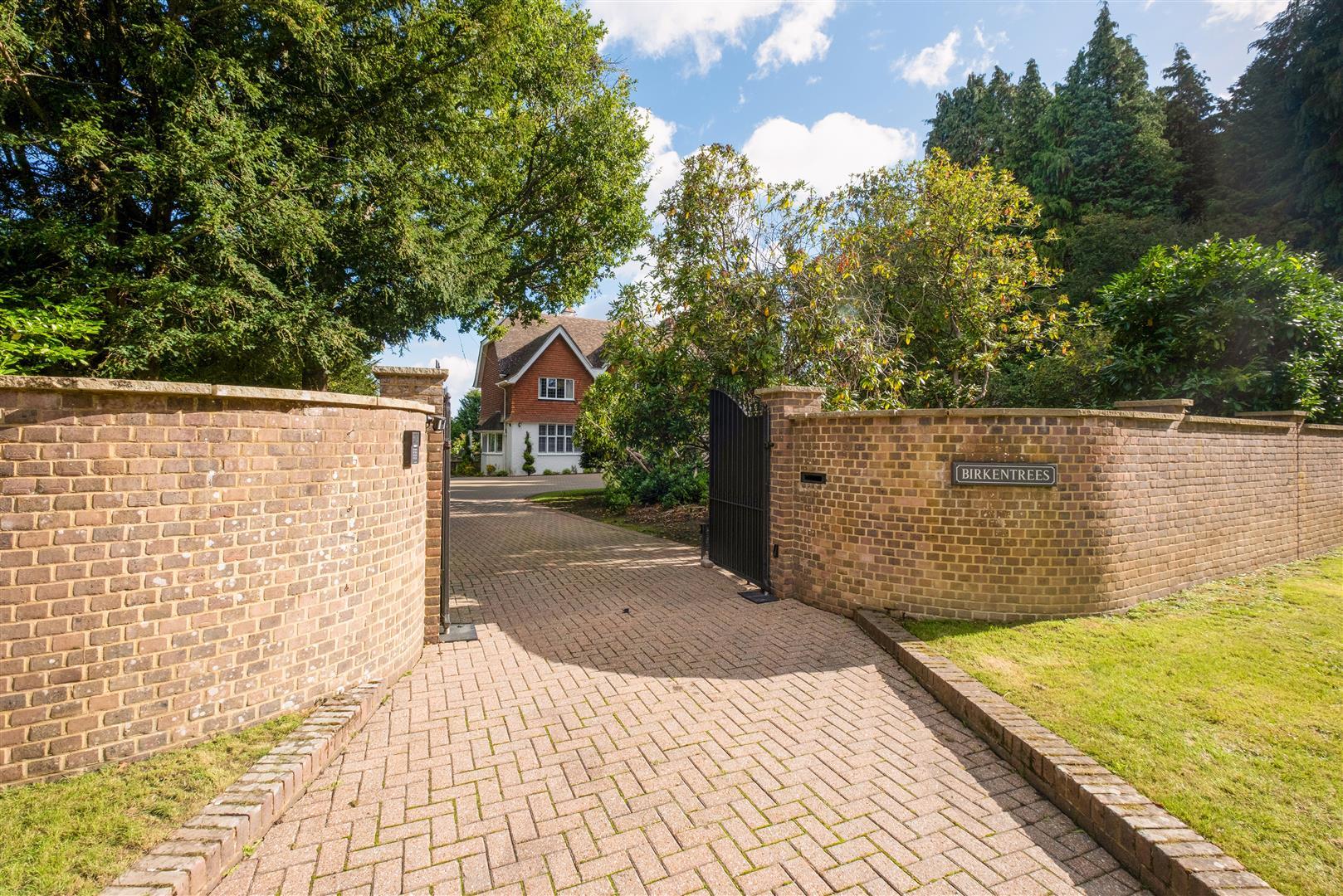 Property Image 2c7cd79e-067b-443c-8c58-d44c747cde9e