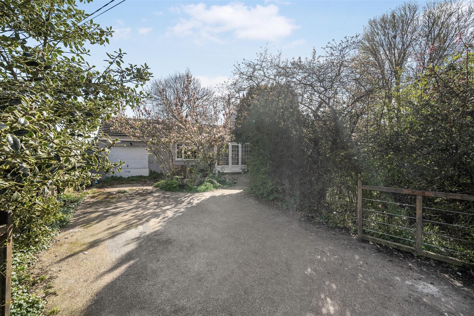 Property Image 2ca057cd-d468-406e-9322-2c932e5e682b