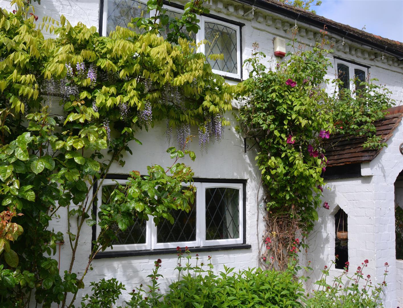 Property Image 2ca5b670-6ea0-4a85-bac1-fefd541290c8
