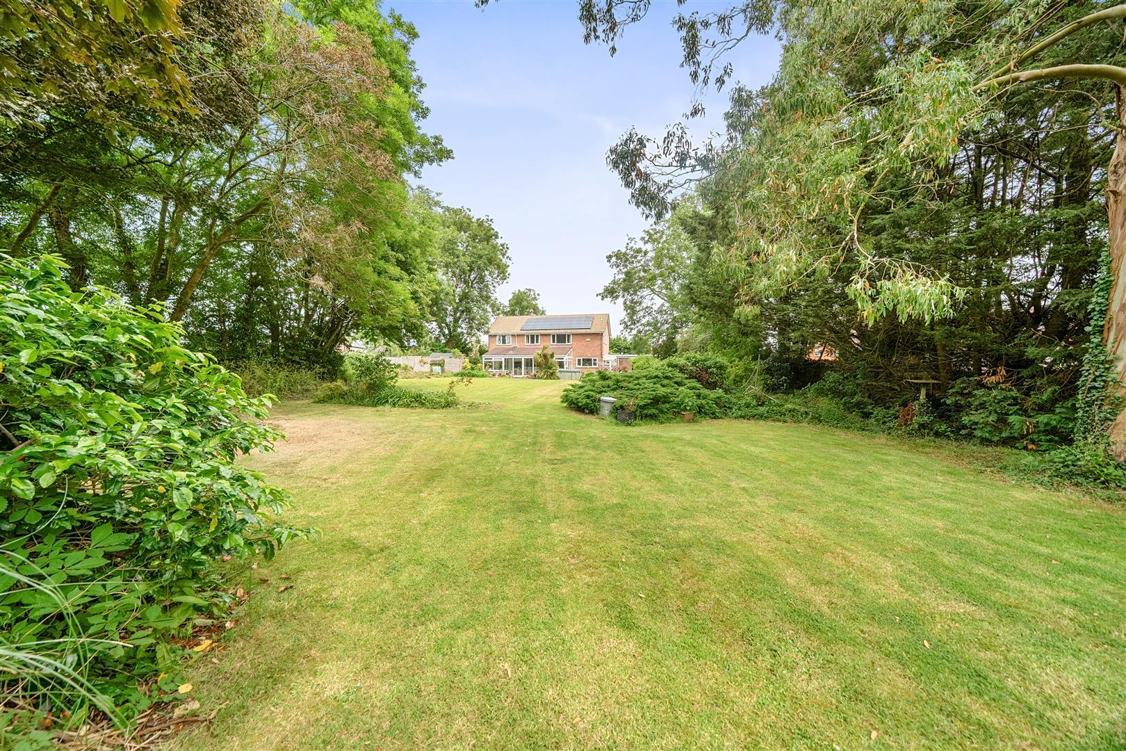 Property Image 2cb2fb46-52f7-4854-8de4-241a42a49afd