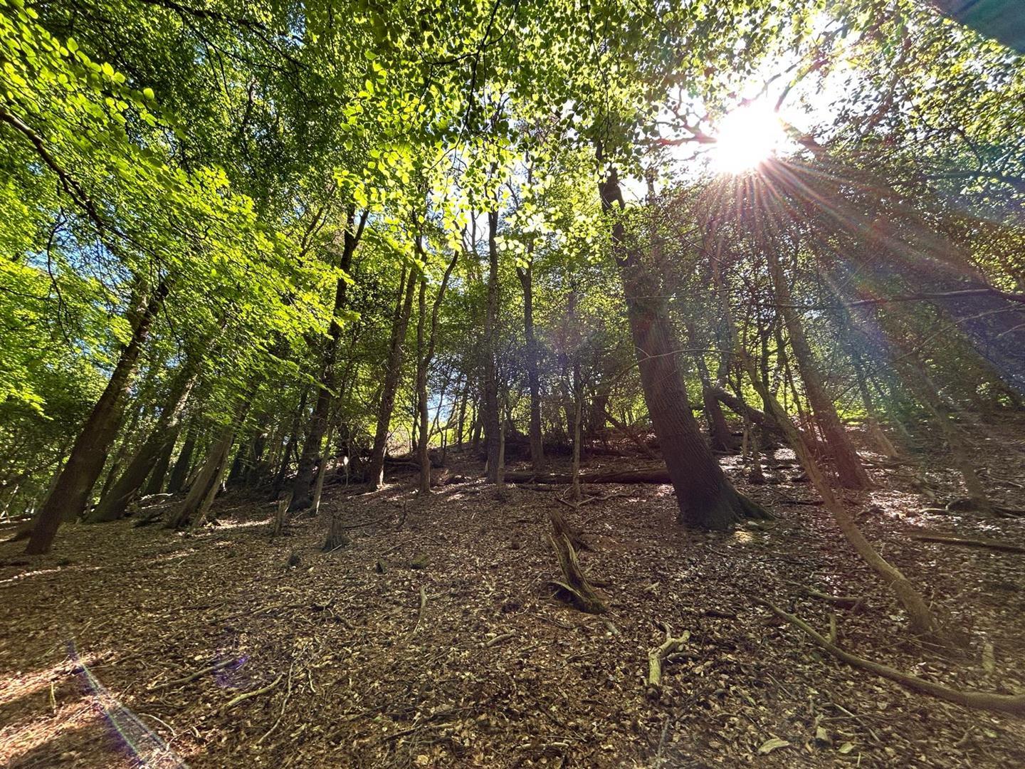 Property Image 2ce4e9a9-04a5-4d59-a413-1b822632bb5e
