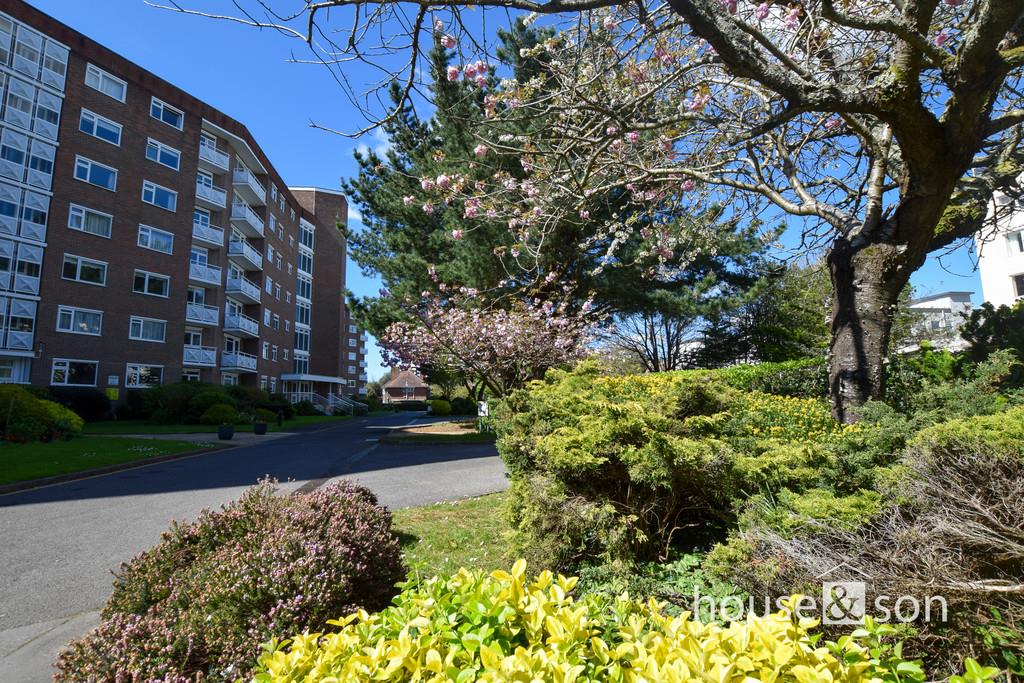 Property Image 2cf8e2f9-4d6f-49ca-902d-d7935b7df3c7