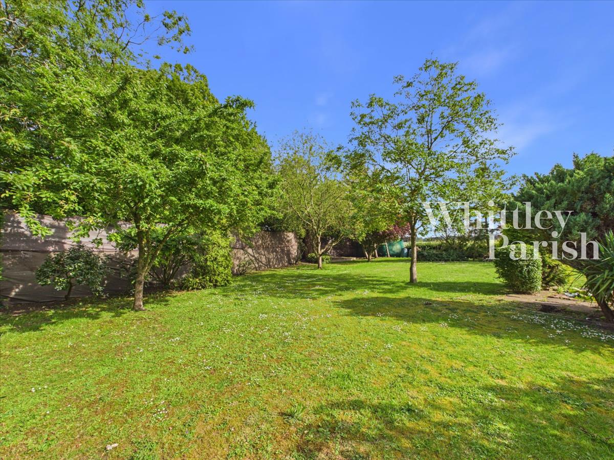 Property Image 2cfe653b-b1a2-4f2c-ad42-d07b34524cd2