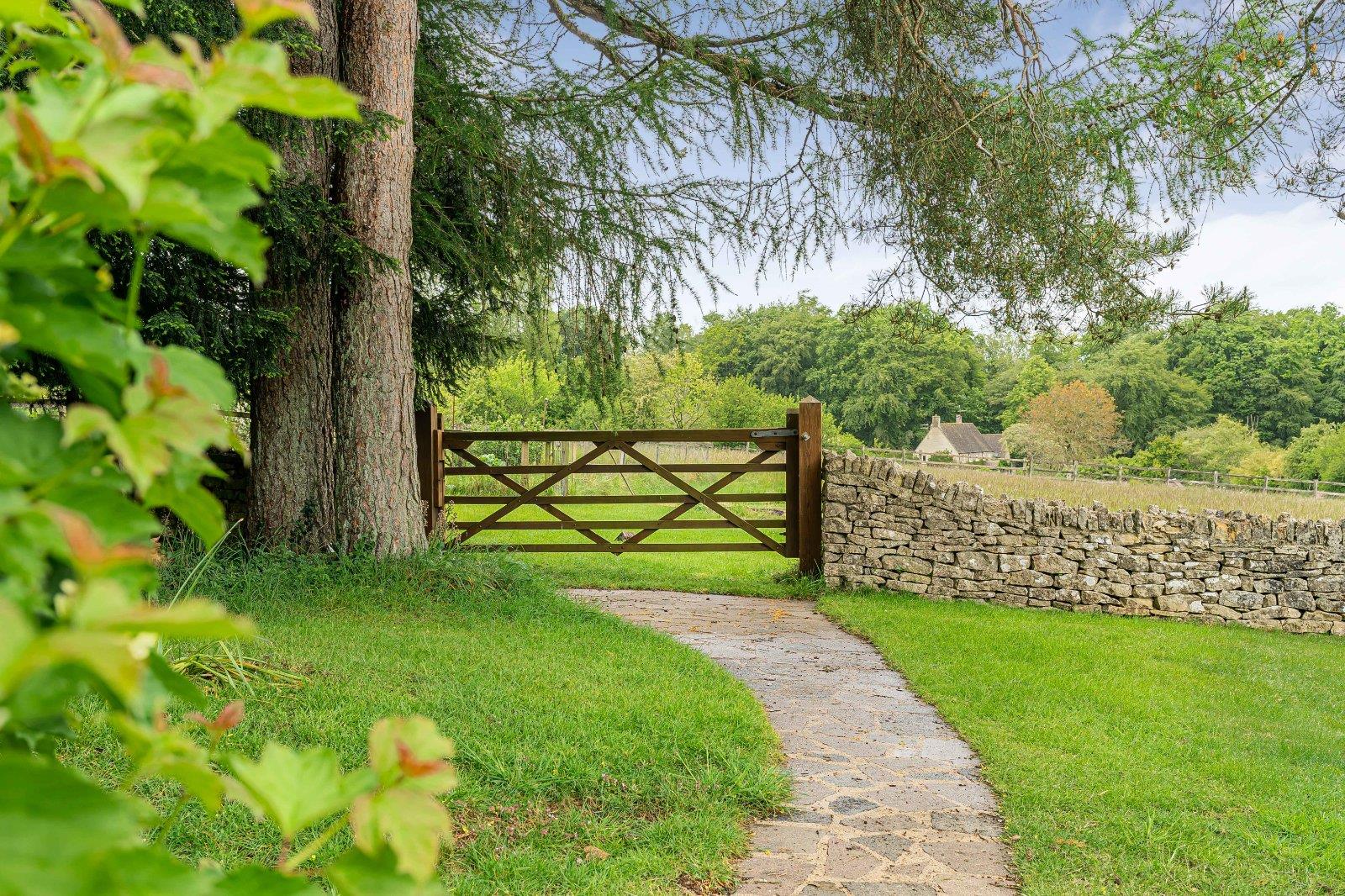 Image 25