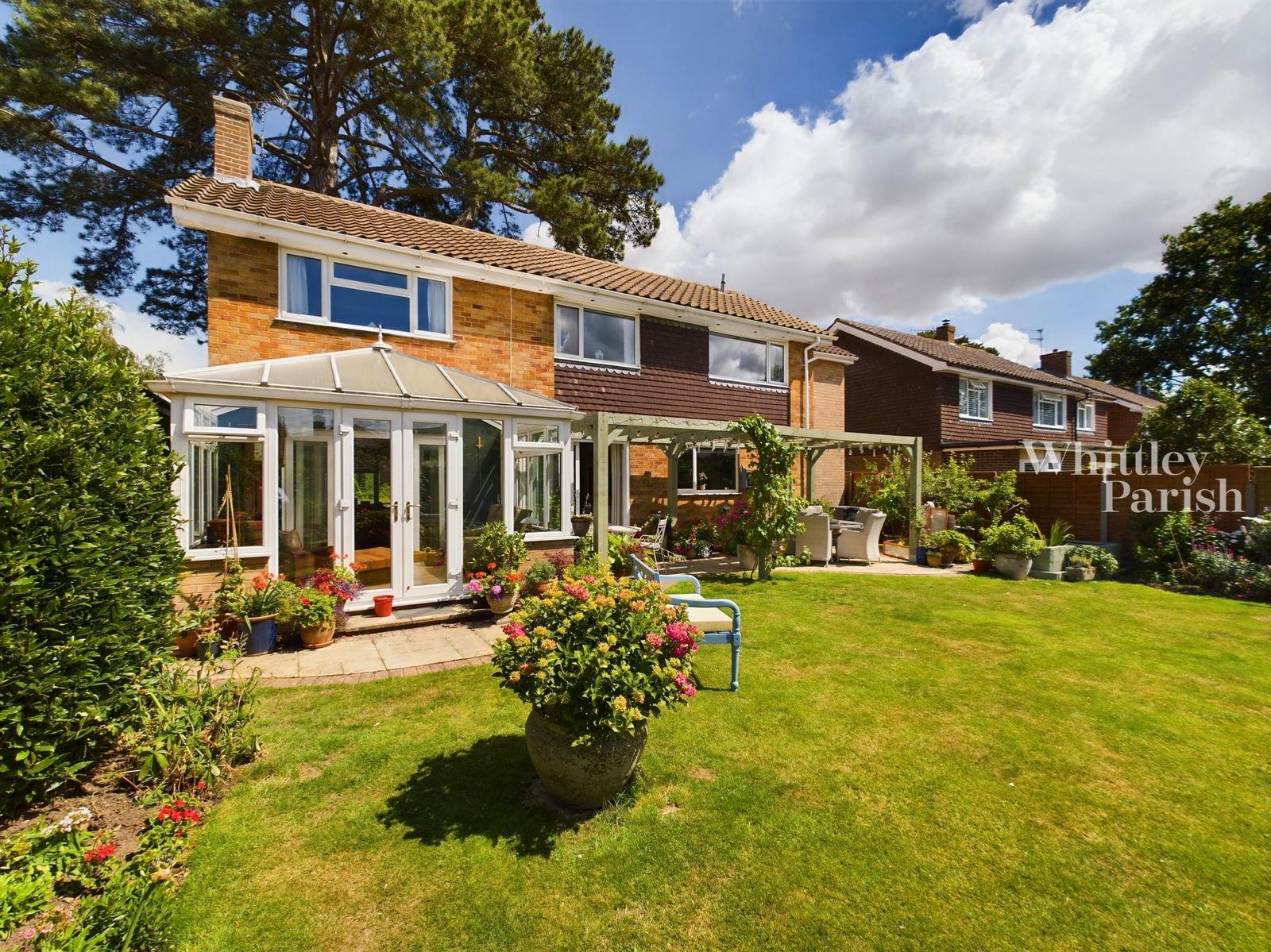 Property Image 2d03675c-f40b-49f1-9162-6e9dbe15c608