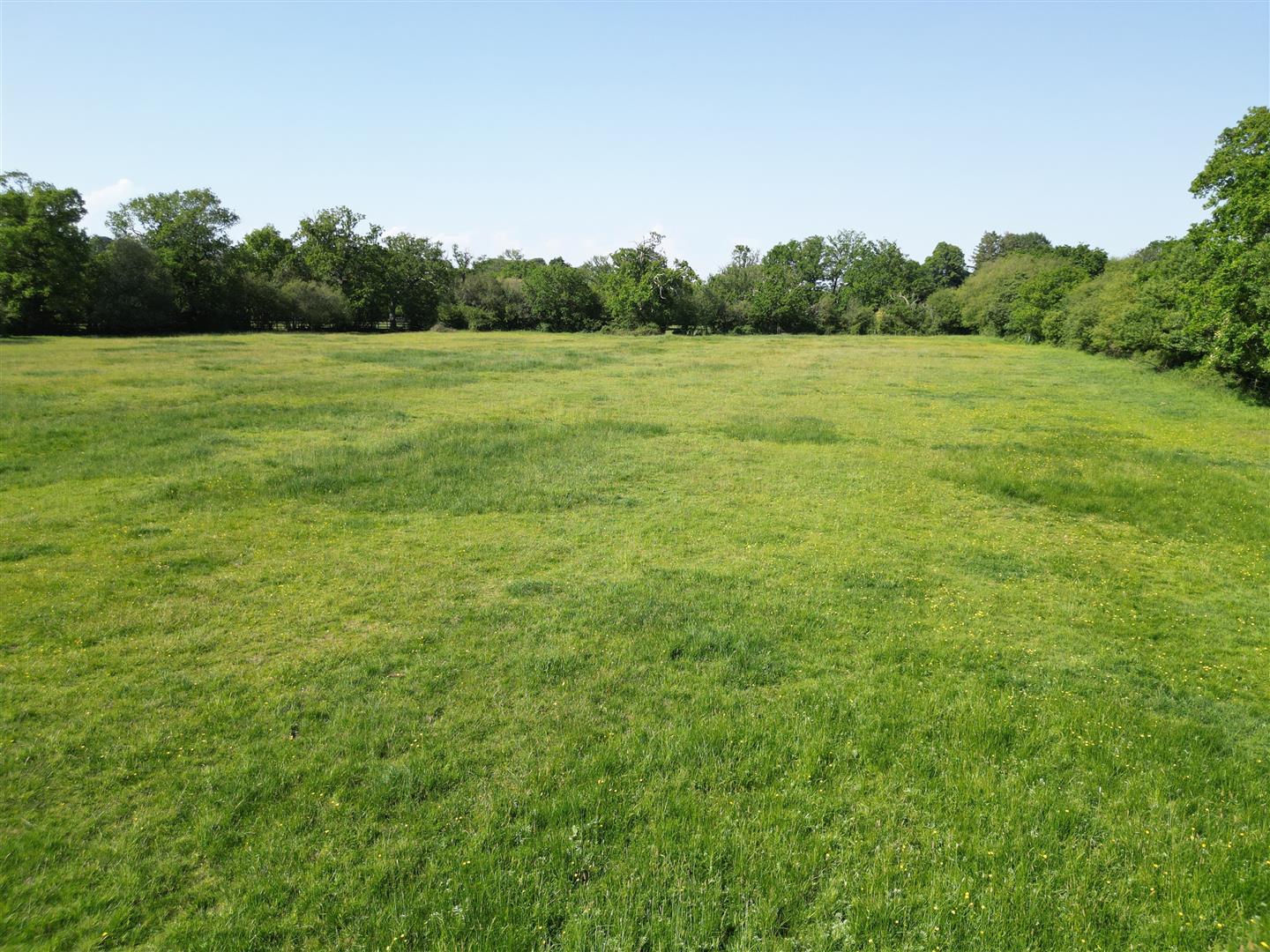 Property Image 2d0dc481-5c8e-48ca-a862-c7c3f0fd4deb