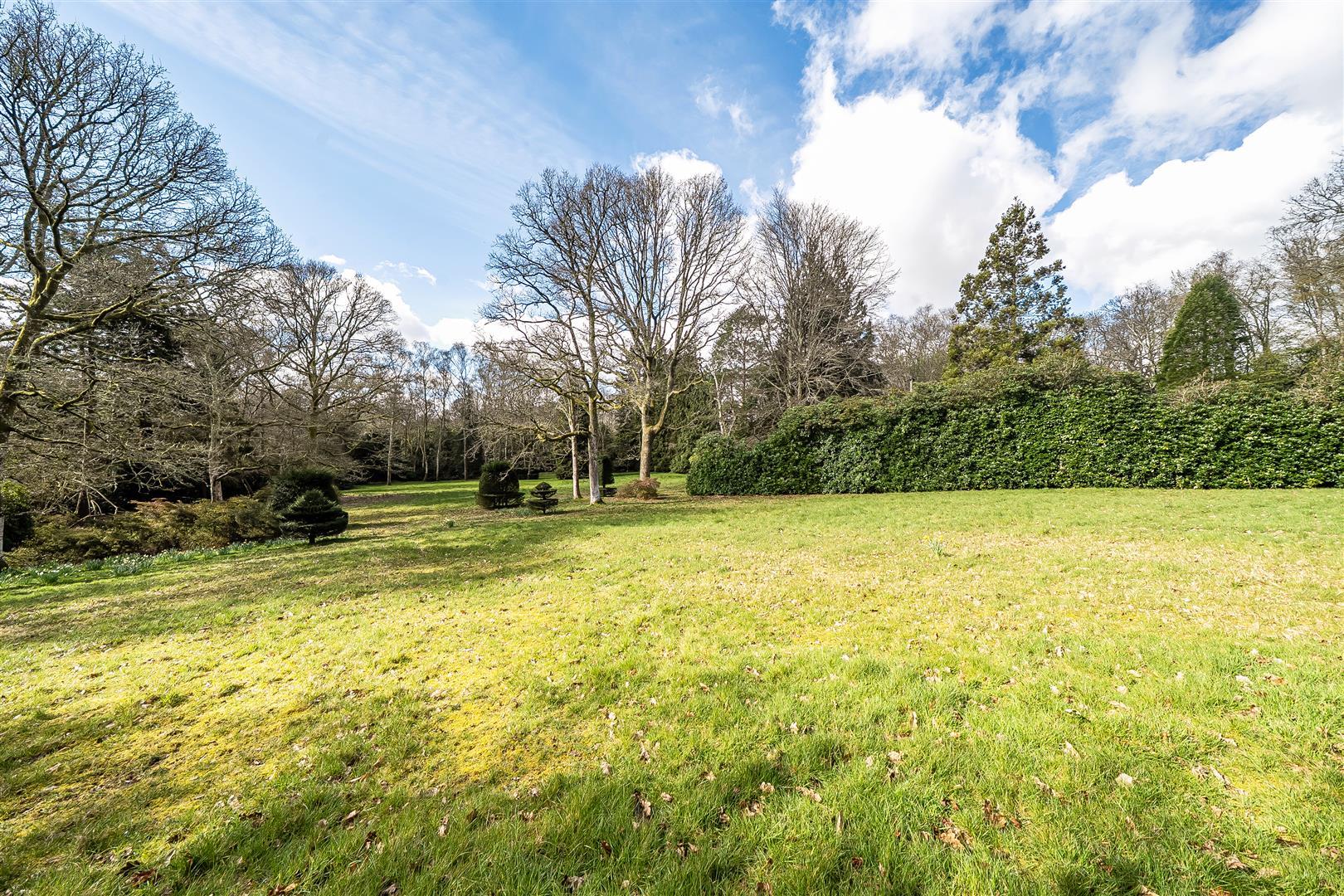 Property Image 2d90b9c8-91bd-43f1-ad50-4ad286133100