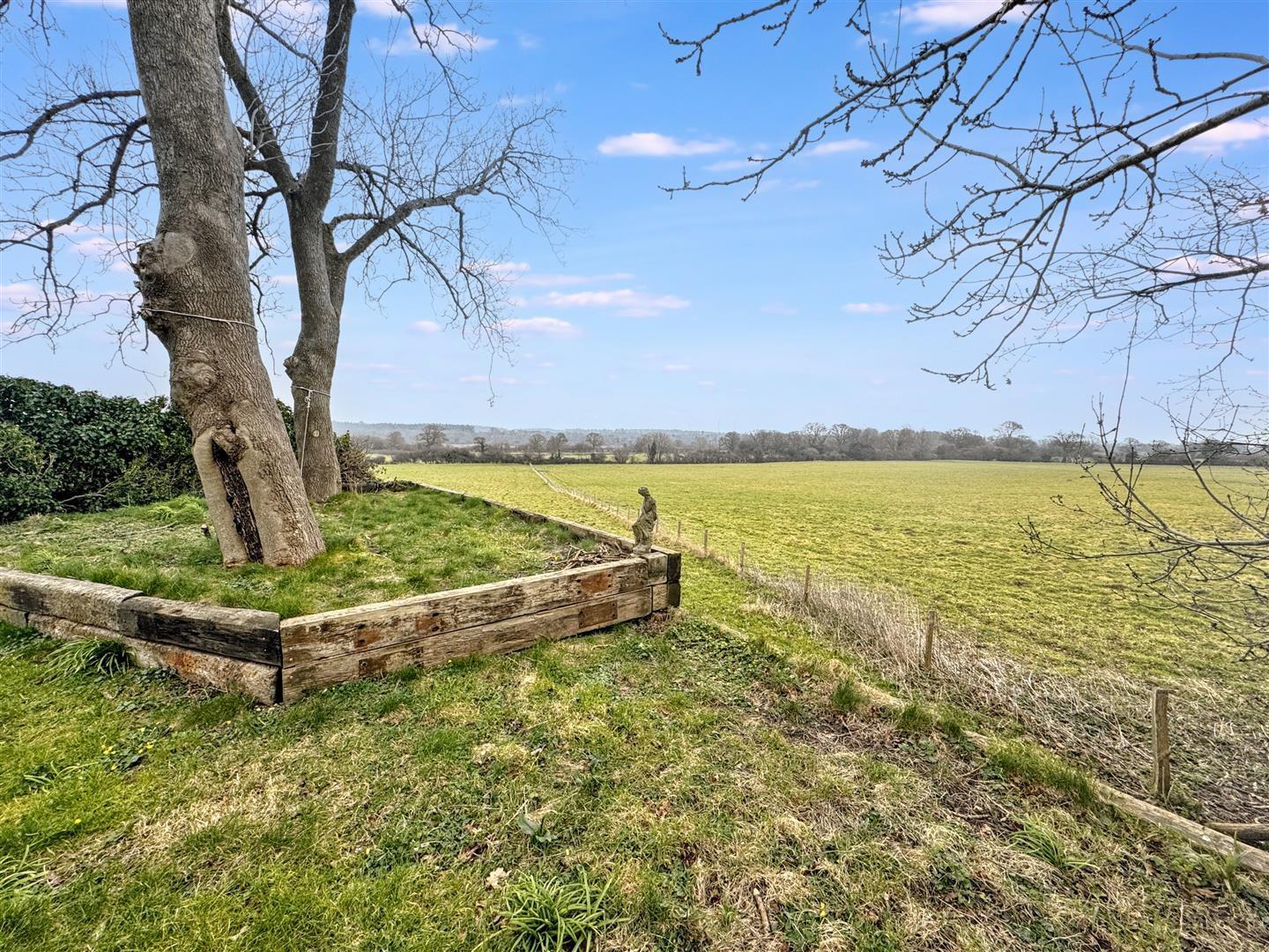 Property Image 2da4e3ab-37df-4a0a-9bb8-b7fa558b576c