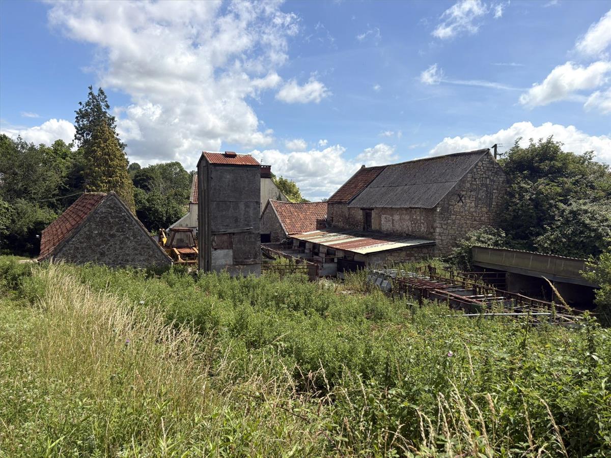 Image 37