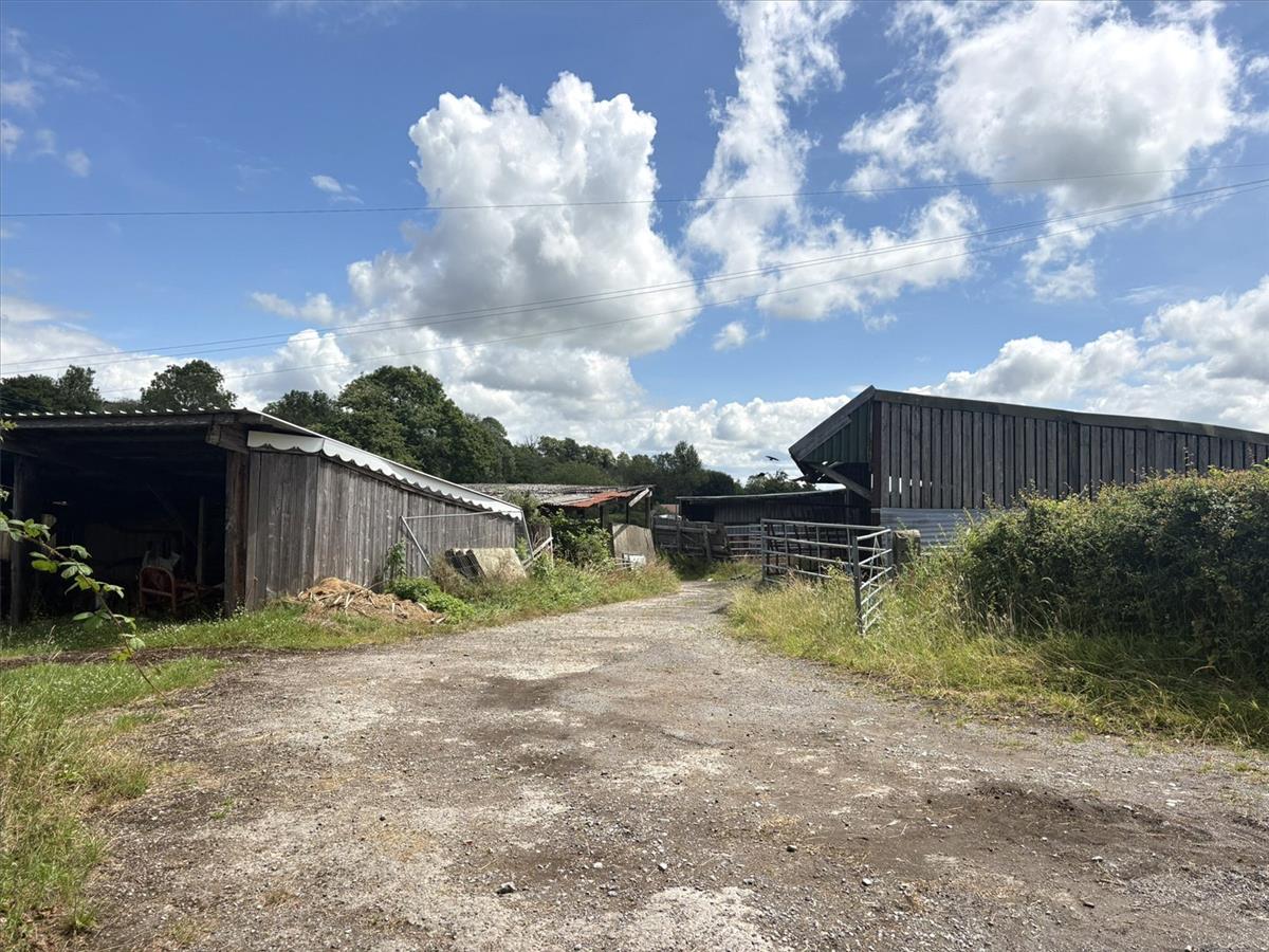 Image 25