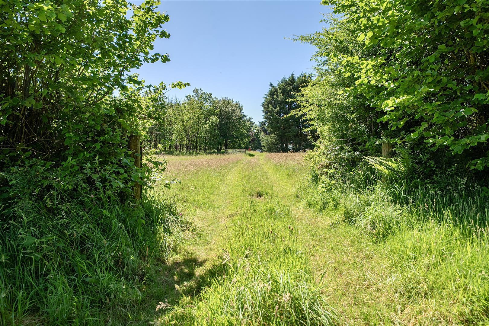 Property Image 2e31eb4d-30f1-4aa0-8c62-6d4558452a89