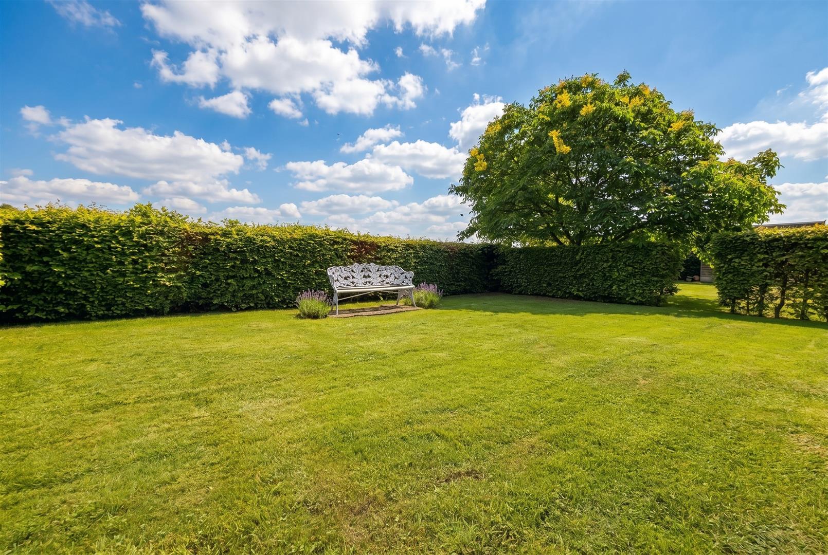 Property Image 2e33509d-31c3-446e-a873-08246a981ddf