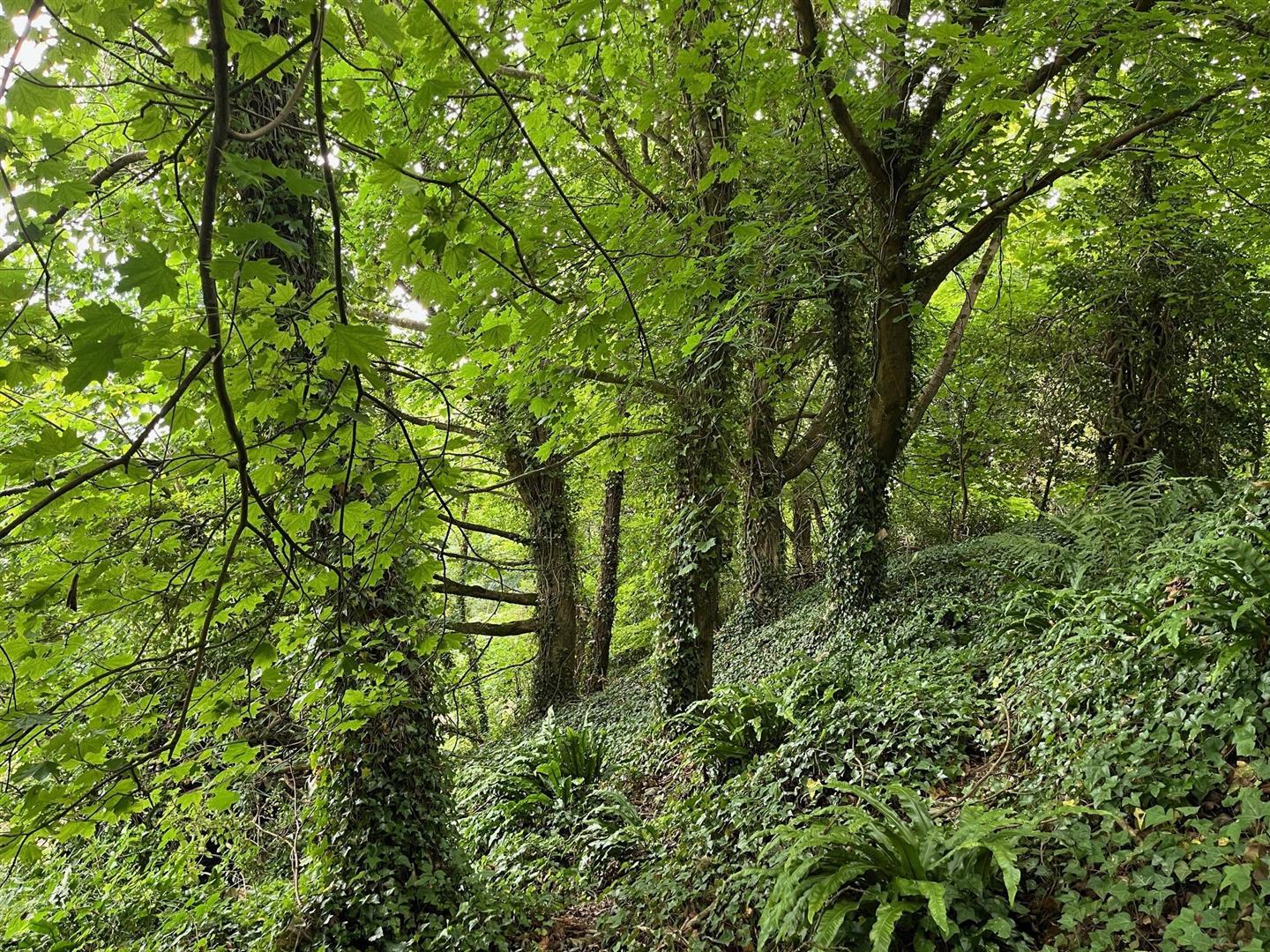 Property Image 2e44c6af-445e-4ad1-919e-8e961edc718d
