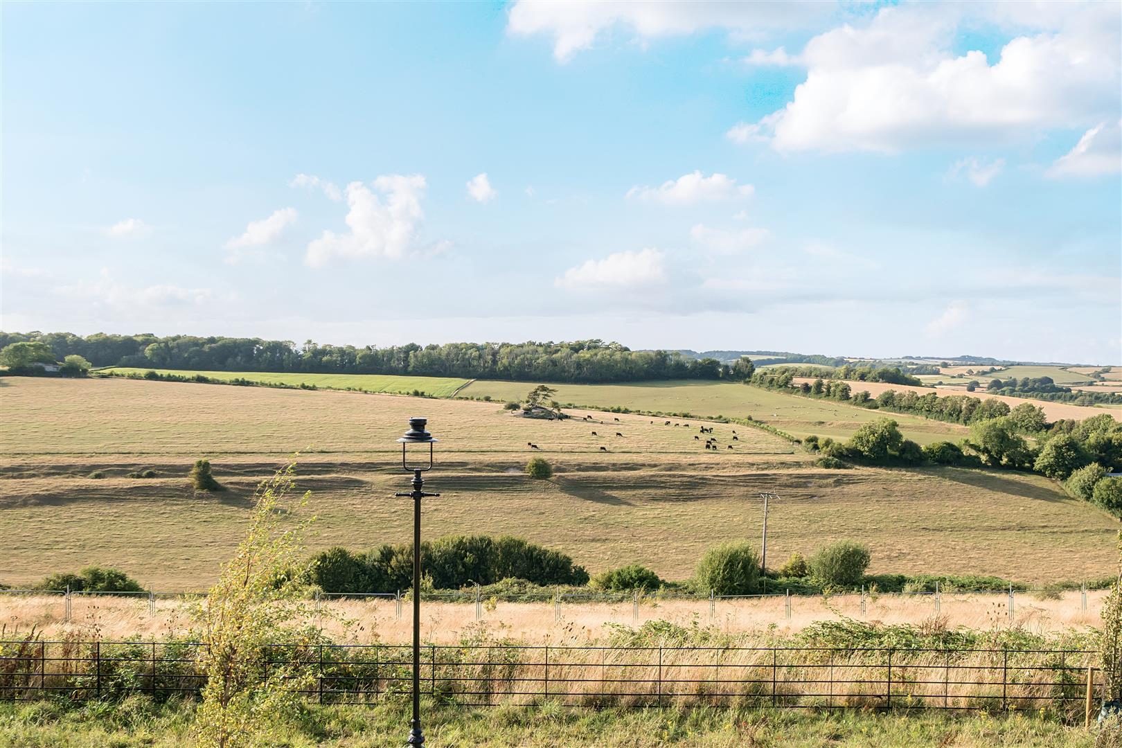 Image 14