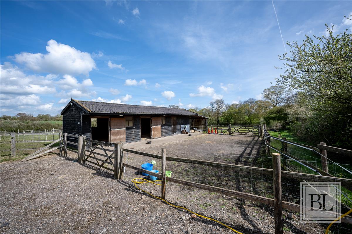 Property Image 2ecb3599-6c20-42e5-ab8f-8ea22f1eaab1