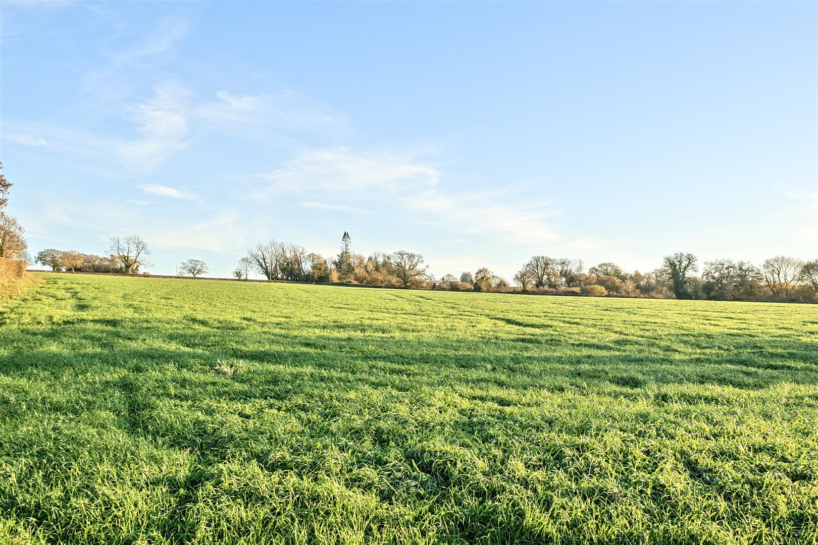 Property Image 2eeac65b-e57e-409f-b783-fb9ae1564d91