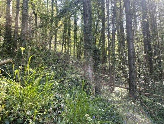 Property Image 2efaac0b-fe57-44d9-b3cc-089b21aeb750