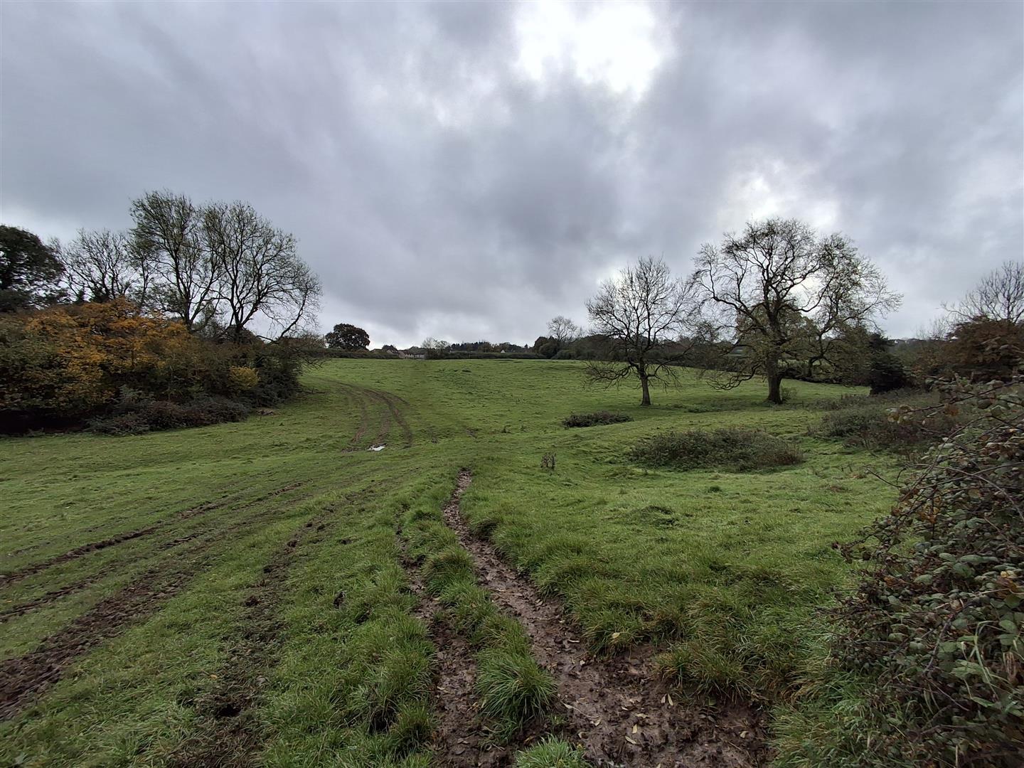 Property Image 2eff89f1-d902-45df-875b-6a21e2445cb1