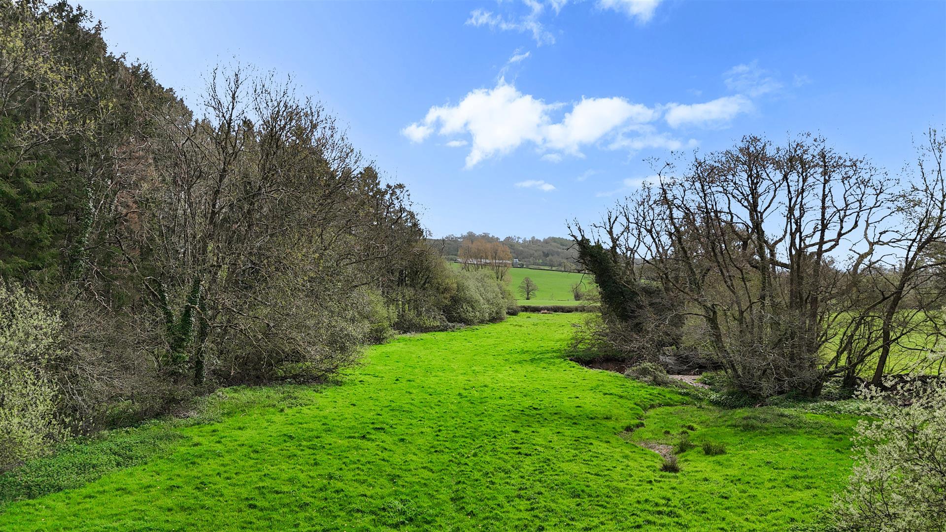 Property Image 2f4a274b-6981-4e7e-9ec6-1c79b5d4f9ce