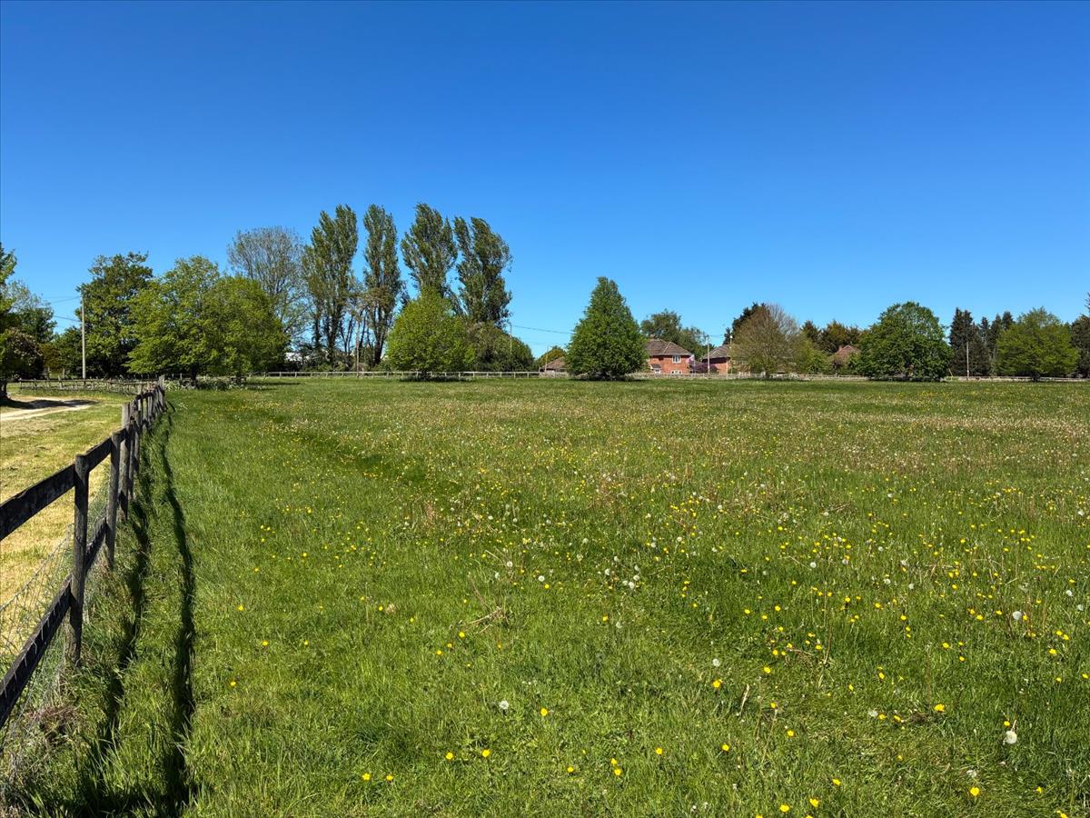 Property Image 2fa3dbb9-78c0-4242-8f11-281ced2836cc
