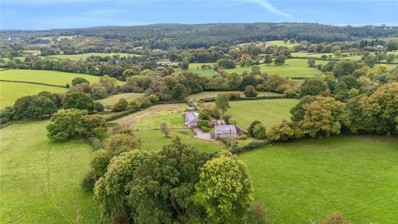 Property Image 2fda0742-3af4-4fc5-bbd0-68bf5d893dc9