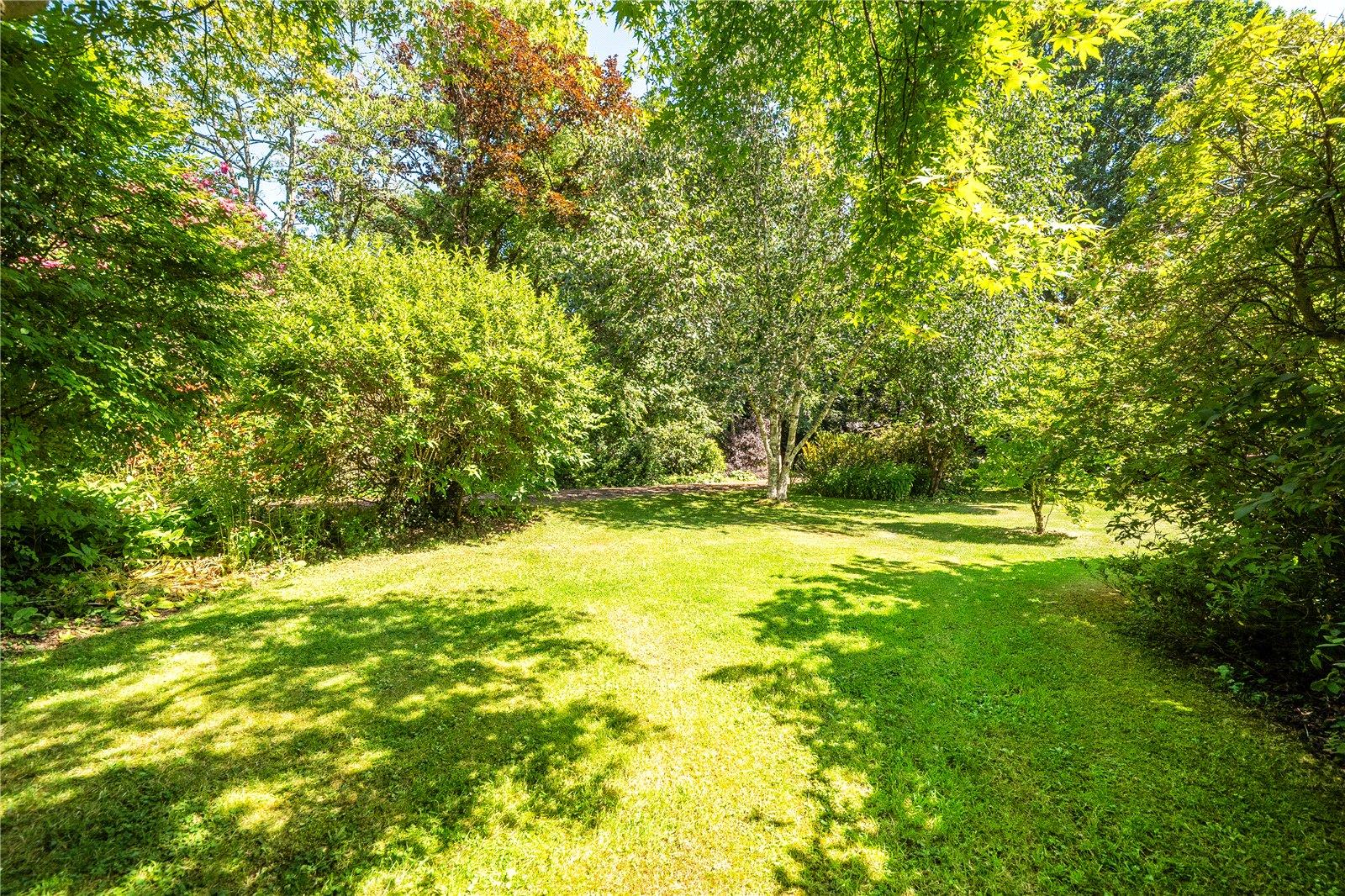 Property Image 2ff6dfc5-948b-4e26-a995-e1e0c9b0de68
