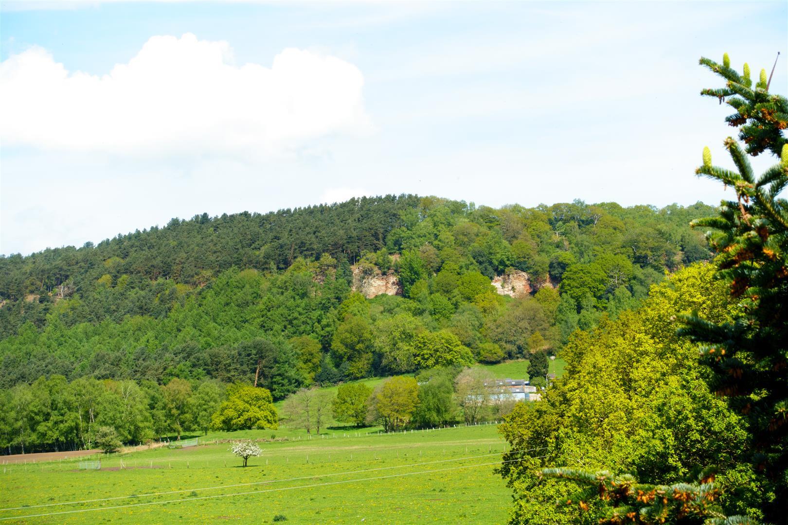 Property Image 3035af6a-f26d-4d79-86ac-8fc258e7b668