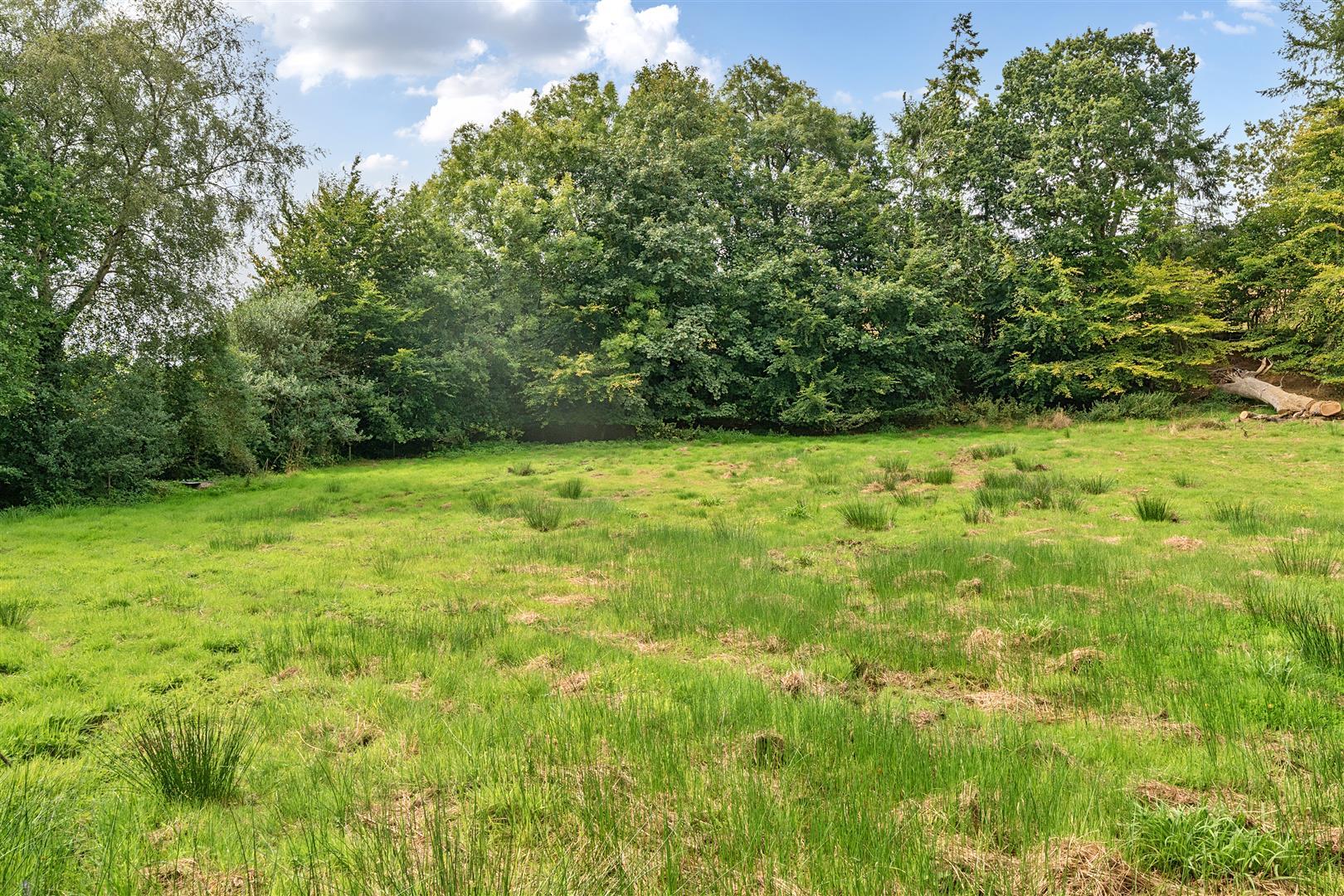 Property Image 30b6f348-85bb-471a-8434-fe7d7bc34024