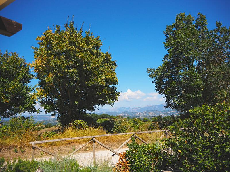 Property Image 30d58446-a5d3-4694-b0bb-b92a211940de