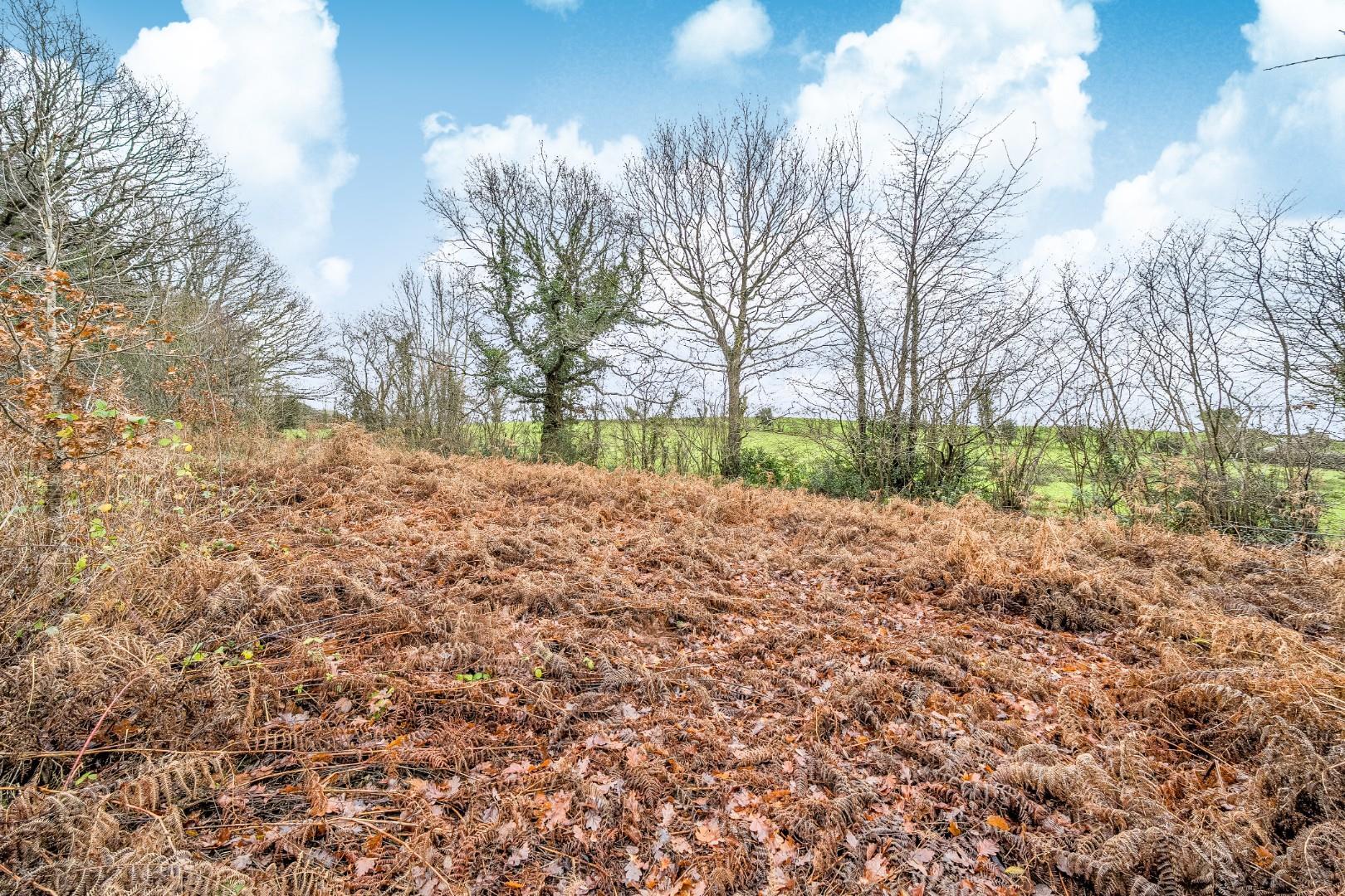Property Image 30fba960-724a-4b09-b502-ae5e9d3247da