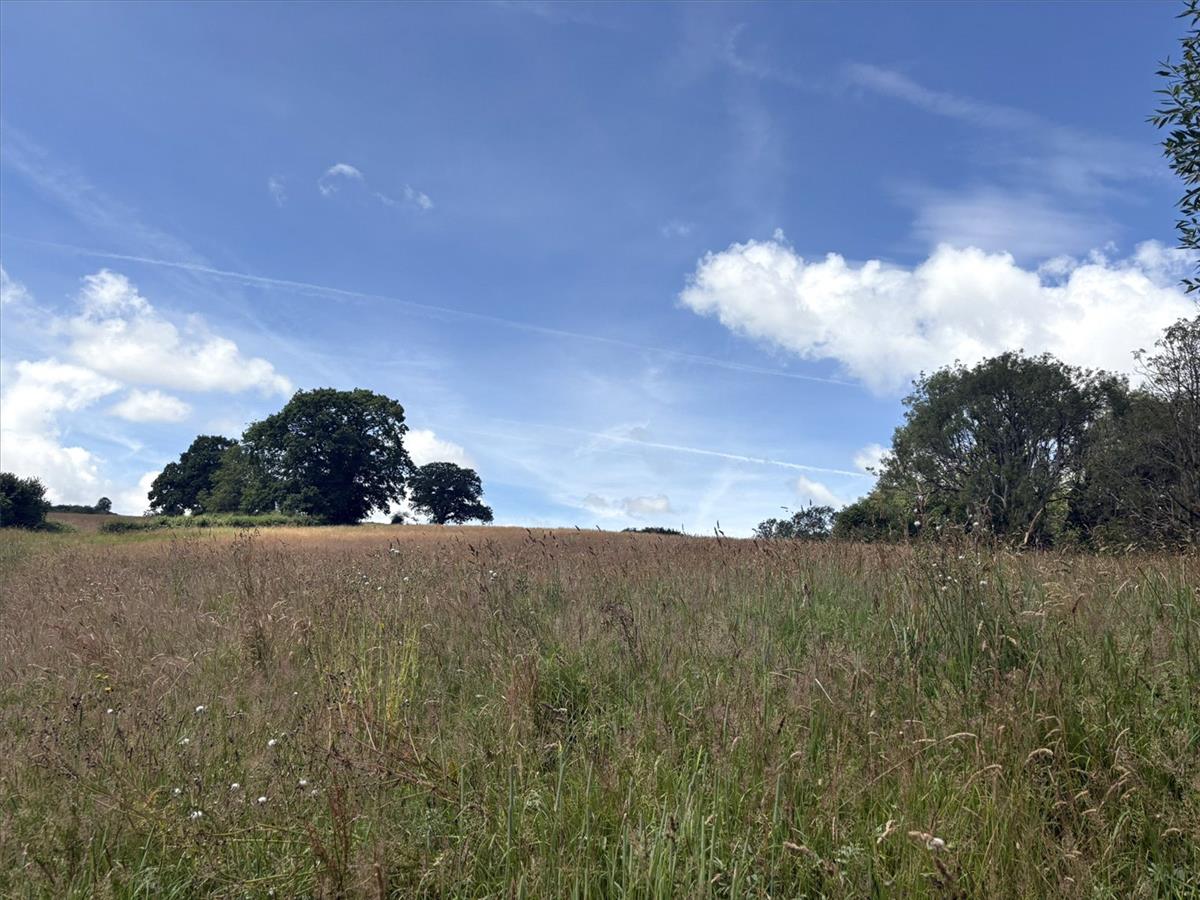 Image 32