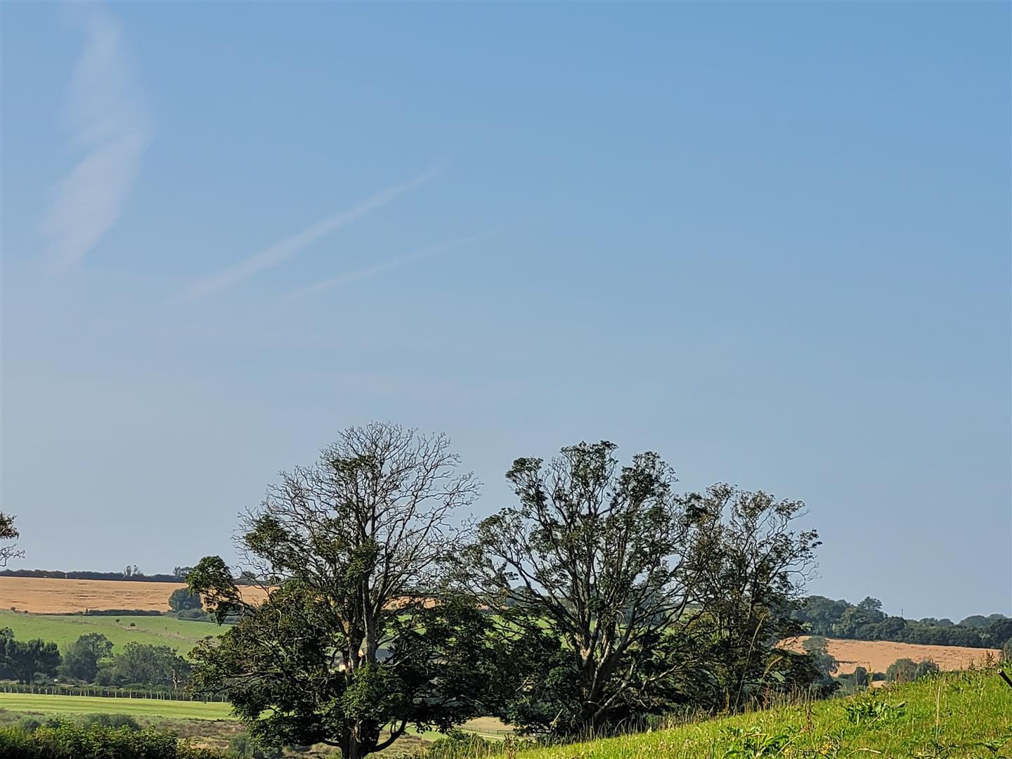 Property Image 3161fe02-1c0e-4028-8846-70a2f2df0067
