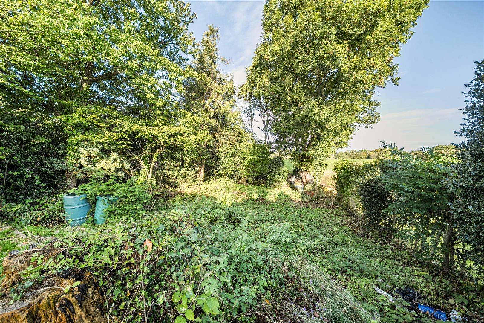 Property Image 316b9d7a-5363-45ee-b4be-532583e09fb5