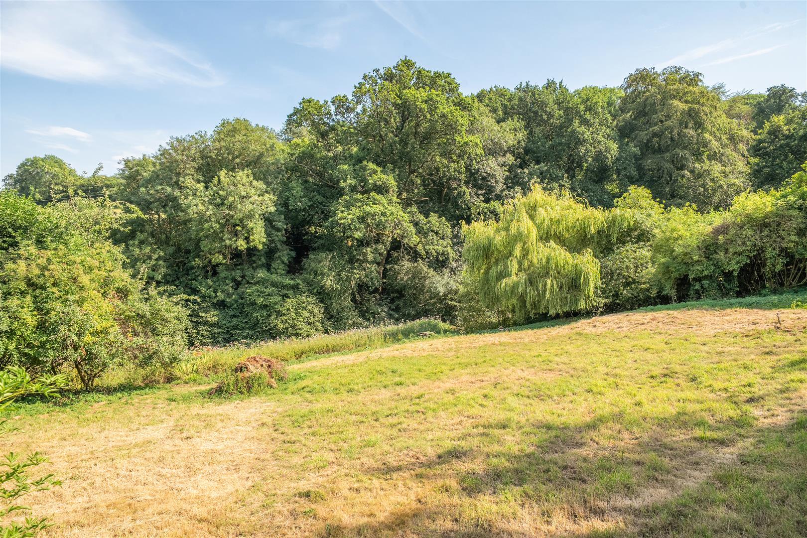 Property Image 3175781a-2068-4acc-9ff2-26d595b2e0f6