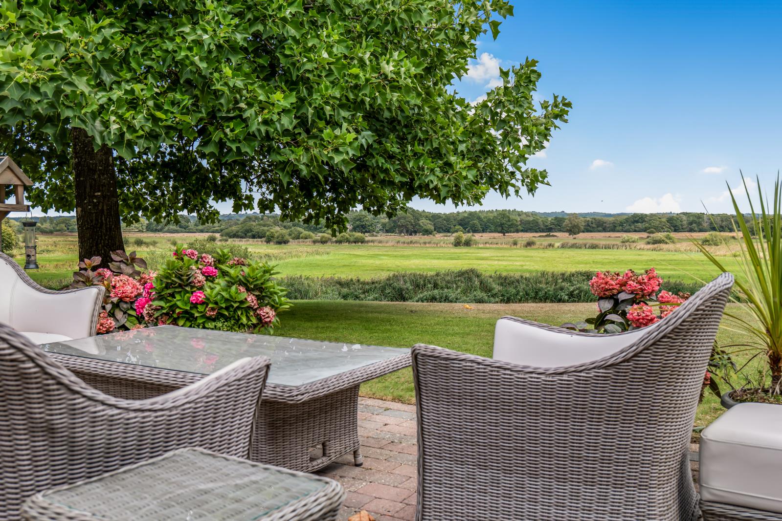 Property Image 317c866b-9378-445b-87d2-4a06d36d541c