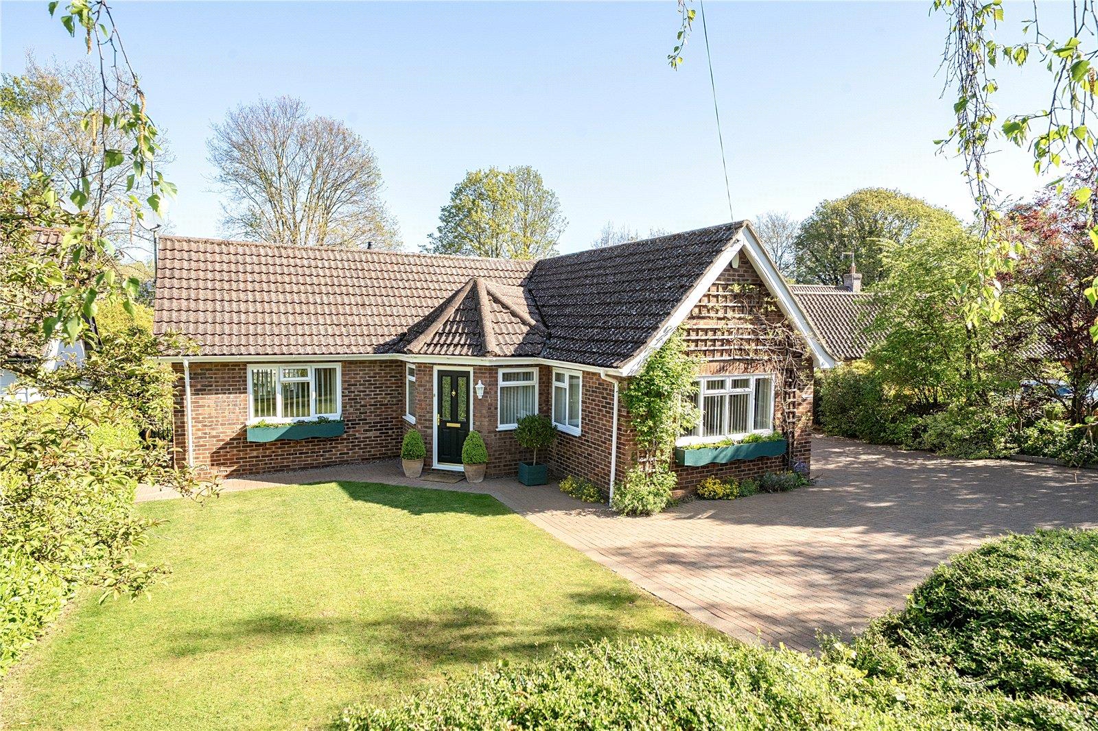 Property Image 3186b934-ad87-4bf0-a4c0-81a0e3863109
