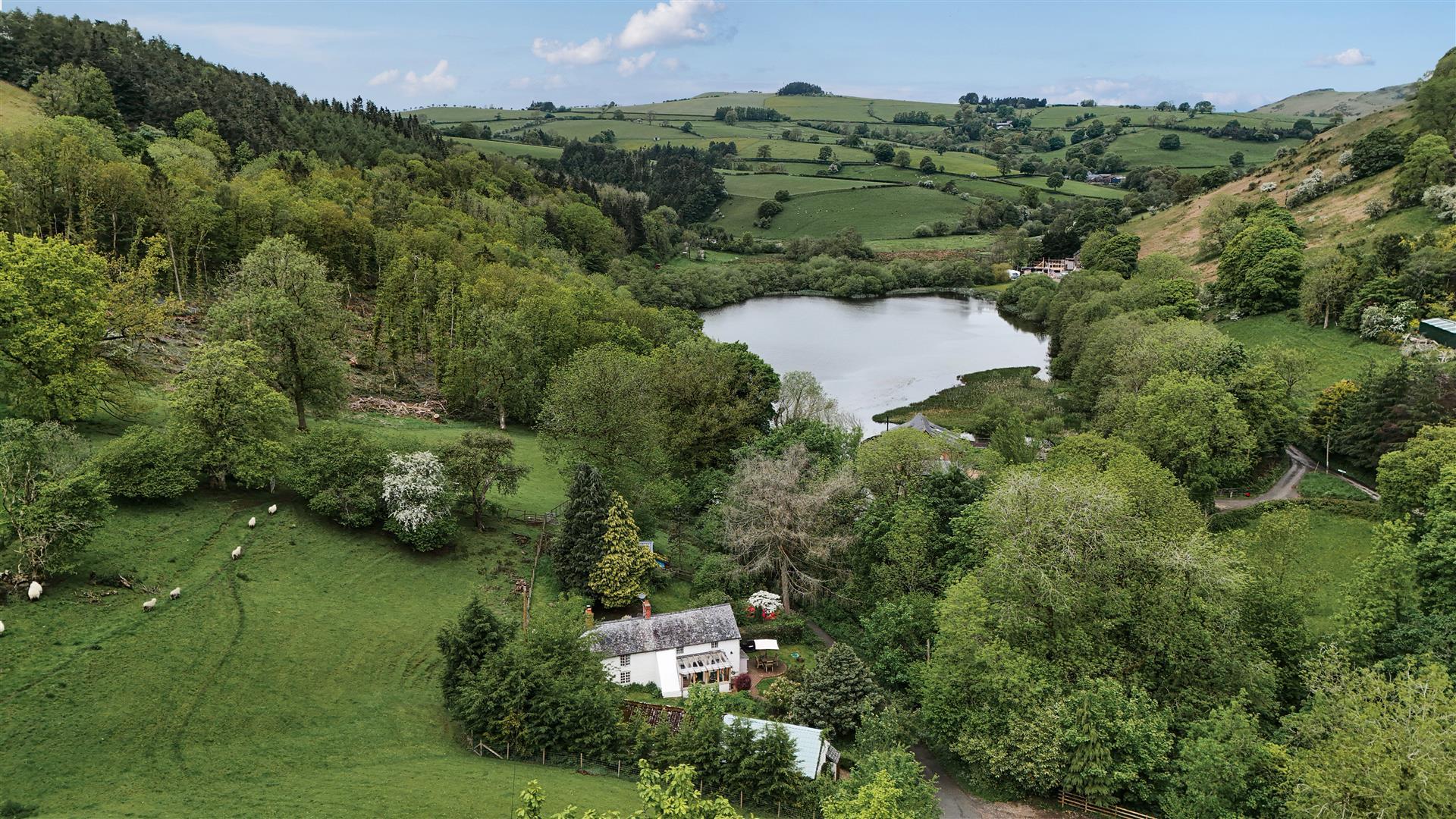 Property Image 318d0569-4ba8-43dc-b877-d029952ed0b2