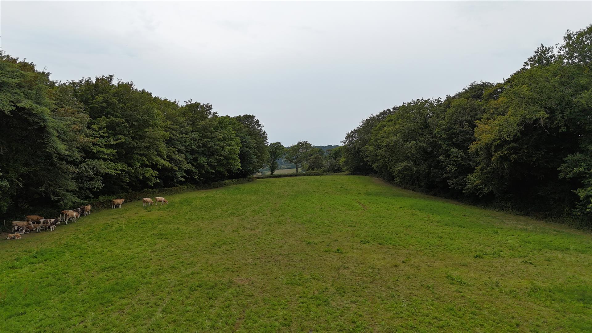 Property Image 31e07829-bf24-4aa9-8b13-4d09dd6ff88b