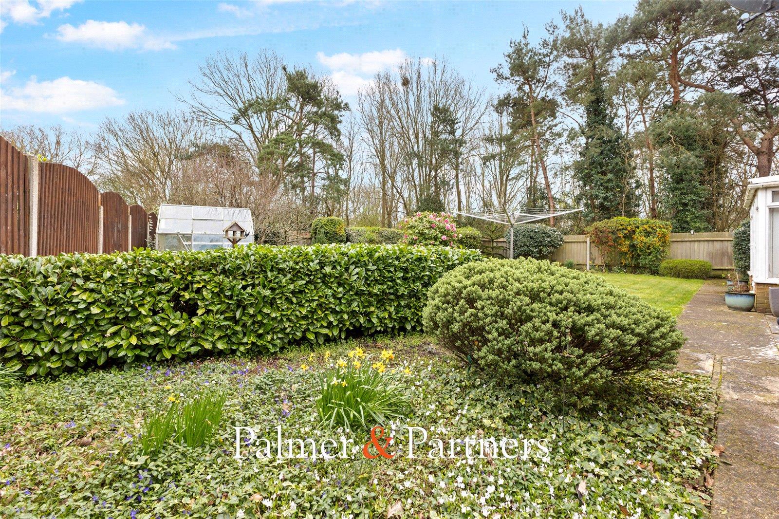 Property Image 3207f641-5a17-46f5-ad4e-66b434aa5b92