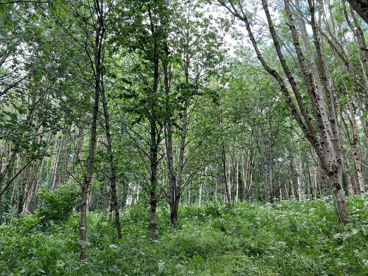 Property Image 32083f76-6944-4f9a-99f7-798fb0ee2666