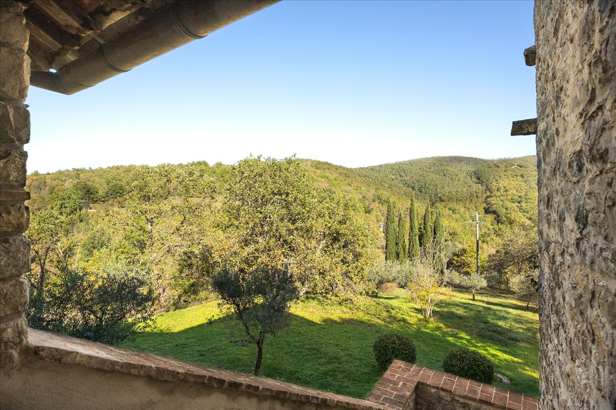 Property Image 3222972b-2454-4490-bf86-71cb99b1e85d
