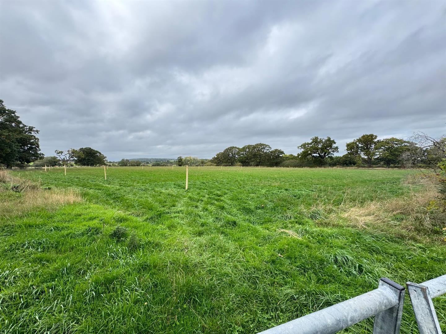 Property Image 326e6f01-43ff-4113-bce0-6a7e902c122b